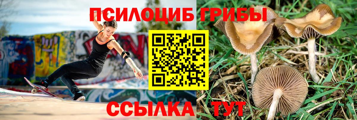 Псилоцибиновые грибы мухоморы Прохладный