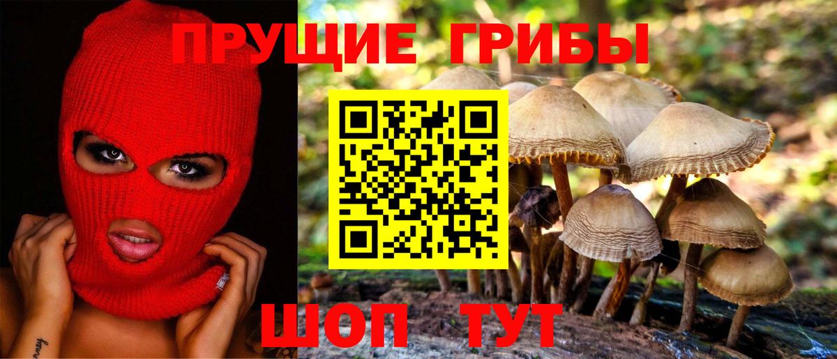 Прохладный  Псилоцибиновые грибы ЛСД  Вход с VPN 
